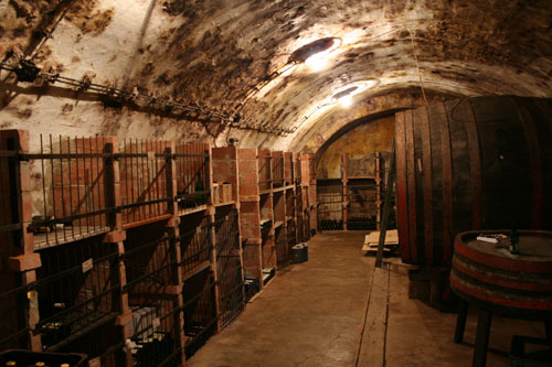 Visiting a wine cellar
