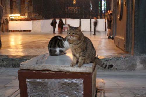 Gatekeepers of Hagia Sofia
